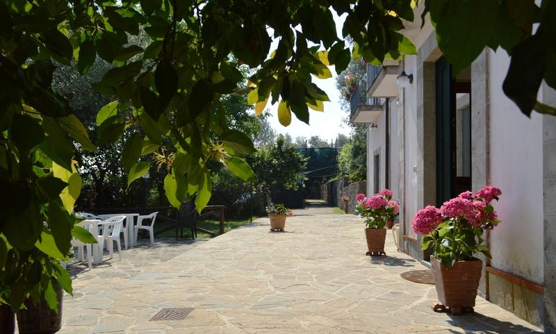 Il Casale Sorrento Hotel Bagian luar foto