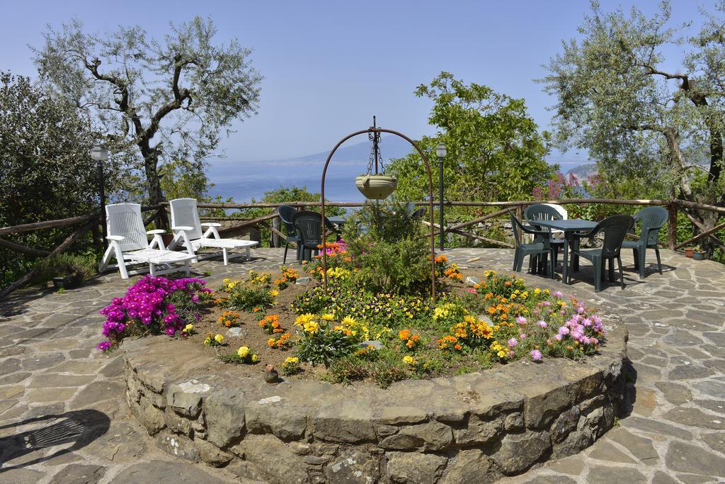 Il Casale Sorrento Hotel Bagian luar foto
