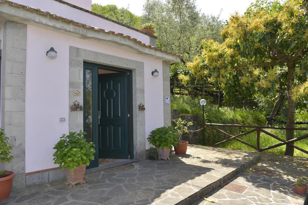 Il Casale Sorrento Hotel Bagian luar foto