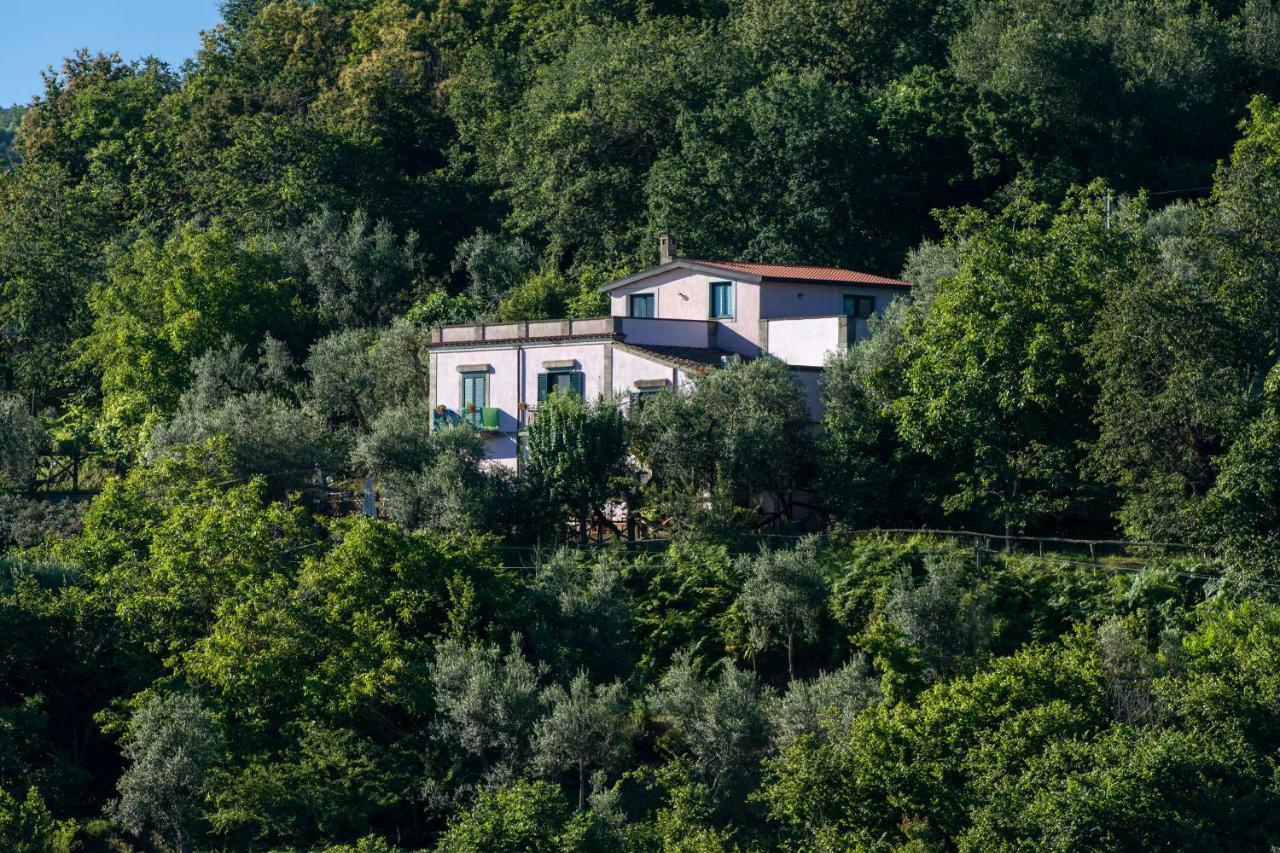 Il Casale Sorrento Hotel Bagian luar foto