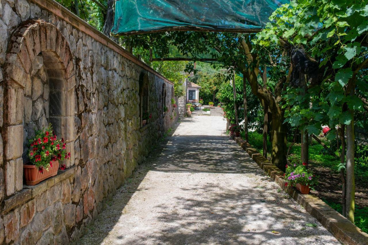 Il Casale Sorrento Hotel Bagian luar foto
